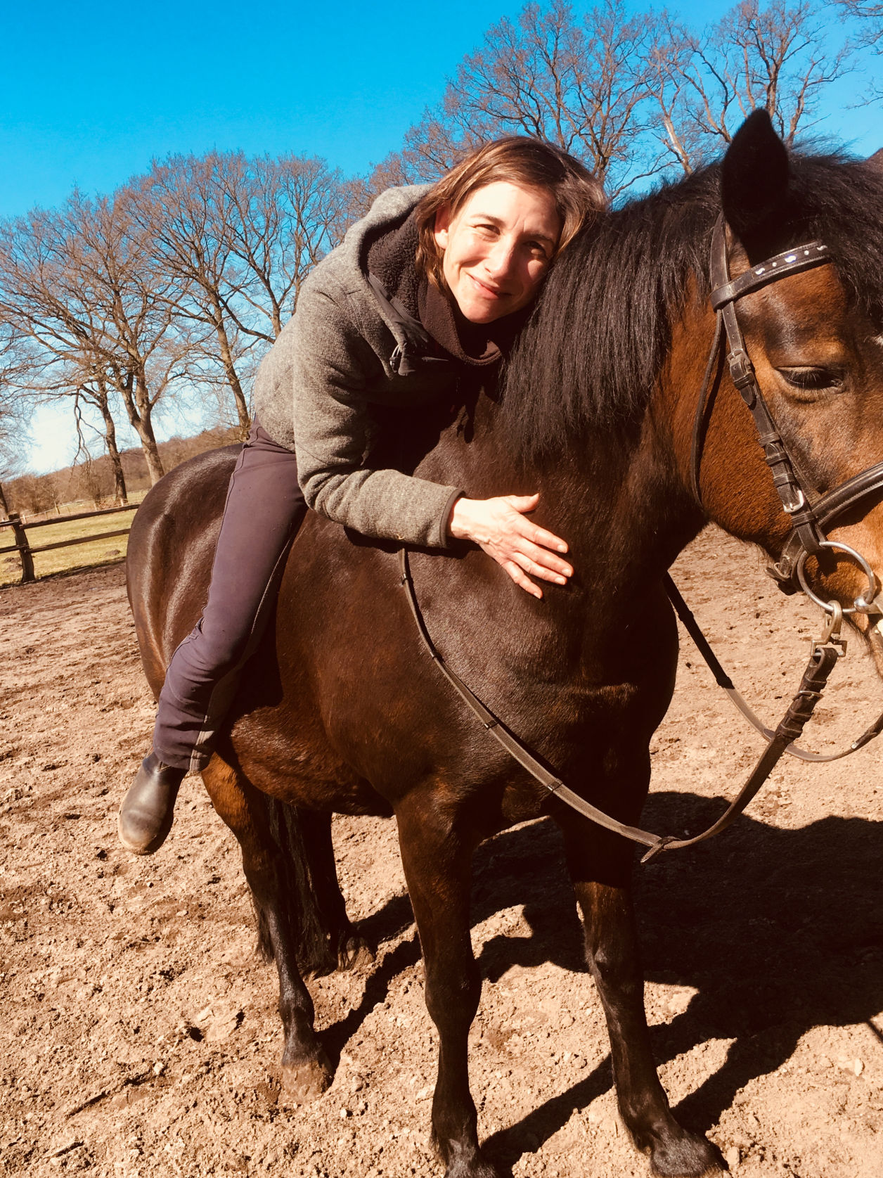 Therapeutisches Reiten bei Julia in Norderstedt-Garstedt – Heilpädagogische Förderung mit dem Pferd
